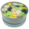 Round Box - Celibrações da primavera - Amarelo e verde