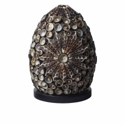 Candeeiro Boho Sea Shell - Chocolate Twist Oval - 15cm