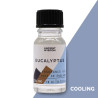 Óleos de Fragrância 10ml - Eucalipto