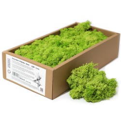 1x Musgo Decorativo -Verde Claro - (aprox. 500g)