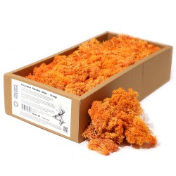 1x Musgo decorativo - Naranja - (aprox. 500g)