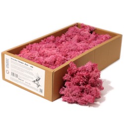 1x Musgo Decorativo - Rosa - (aprox. 500g)