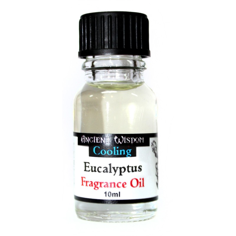 Óleos de Fragrância 10ml - Eucalipto