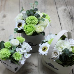 Bouquet Petite Gift Pot - Verde Pastel