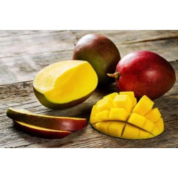 Barra de Jabón Hecho a Mano 1.2kg - Mango