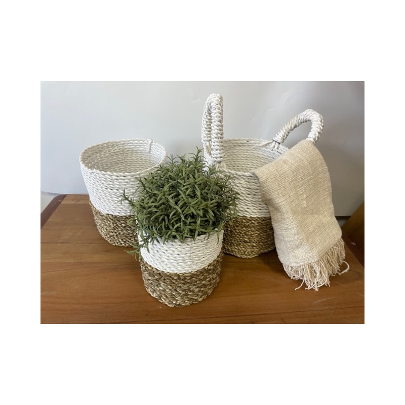 Conjunto de cestos de algas - Branco natural